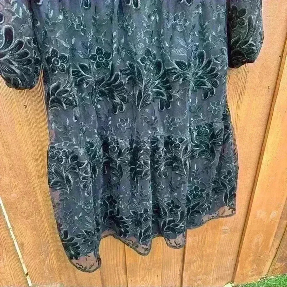 Chico’s burnout velvet lace midi dress - Picture 4 of 12